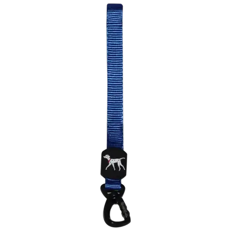Daro Blue Nylon Dog Lead Medium