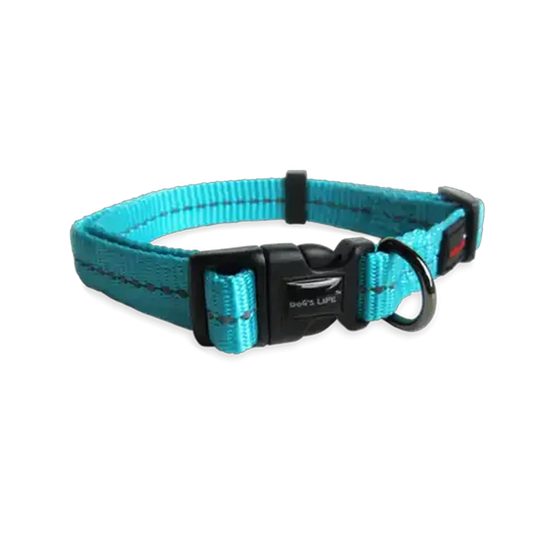 Dog's Life Turquoise Supersoft Reflective Webbing Collar (Small)