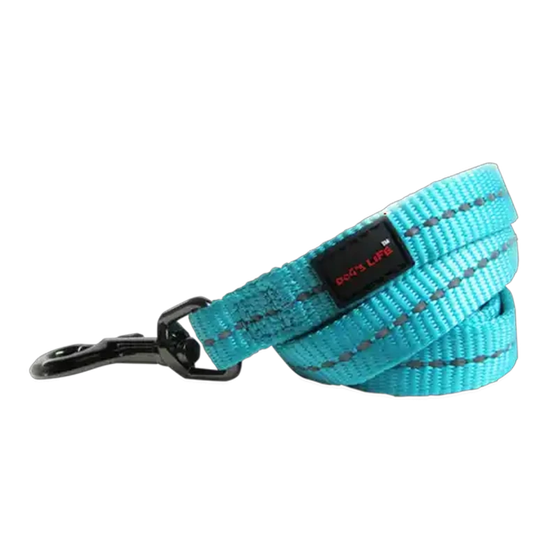 Dog's Life Turquoise Supersoft Reflective Webbing Lead (Small)