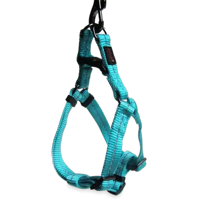 Dog's Life Turquoise Supersoft Reflective Webbing Step In Harness (Large)