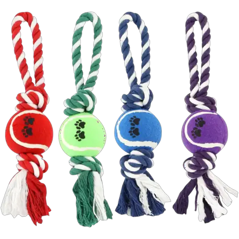 Petshop Tennis Ball On Rope Dog Toy (Colour May Vary)
