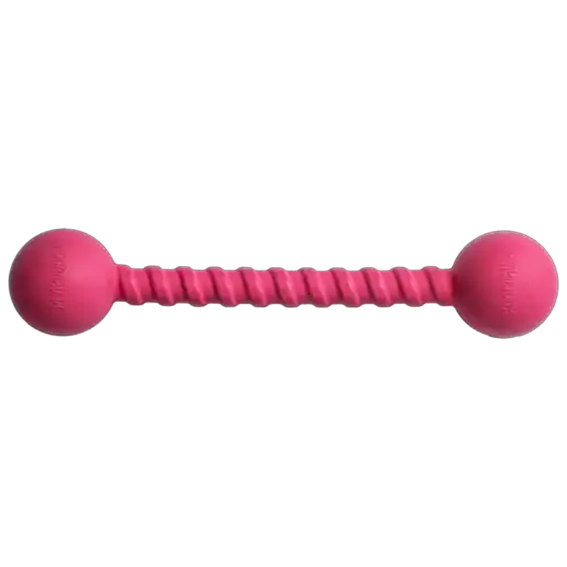 Playbuddy Pink Twizzoo Dog Toy Large