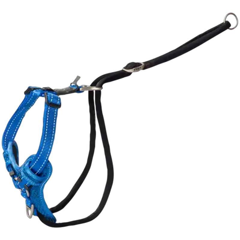Rogz Large Blue Stop Pull Dog Harness