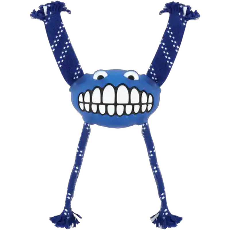 Rogz Medium Blue Flossy Grinz Dog Toy